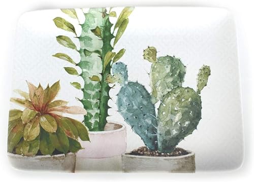Certified International Cactus Verde - Plato rectangular de 16 x 12 pulgadas, tamaño único, multicolor