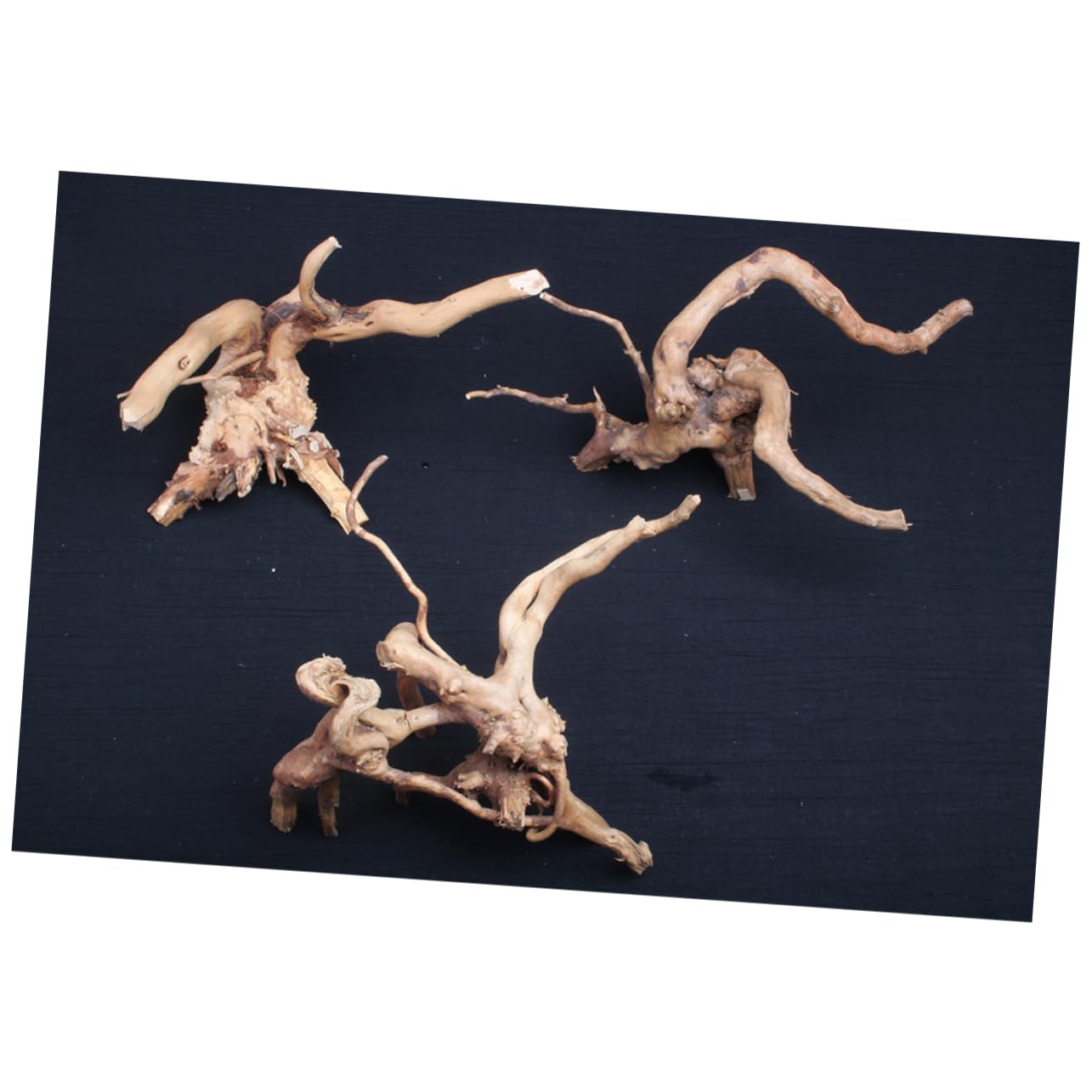 DOITOOL 2stücke Natural Wood Aquarium Ornament Miniatur Baumwurzel Für Aquarienlandschaft Für Dekoration Und Versteckmöglichkeiten Für Fische