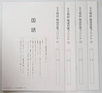 Amazon.co.jp: SS特訓 国語 開成対策、筑駒対策プリント 11?14