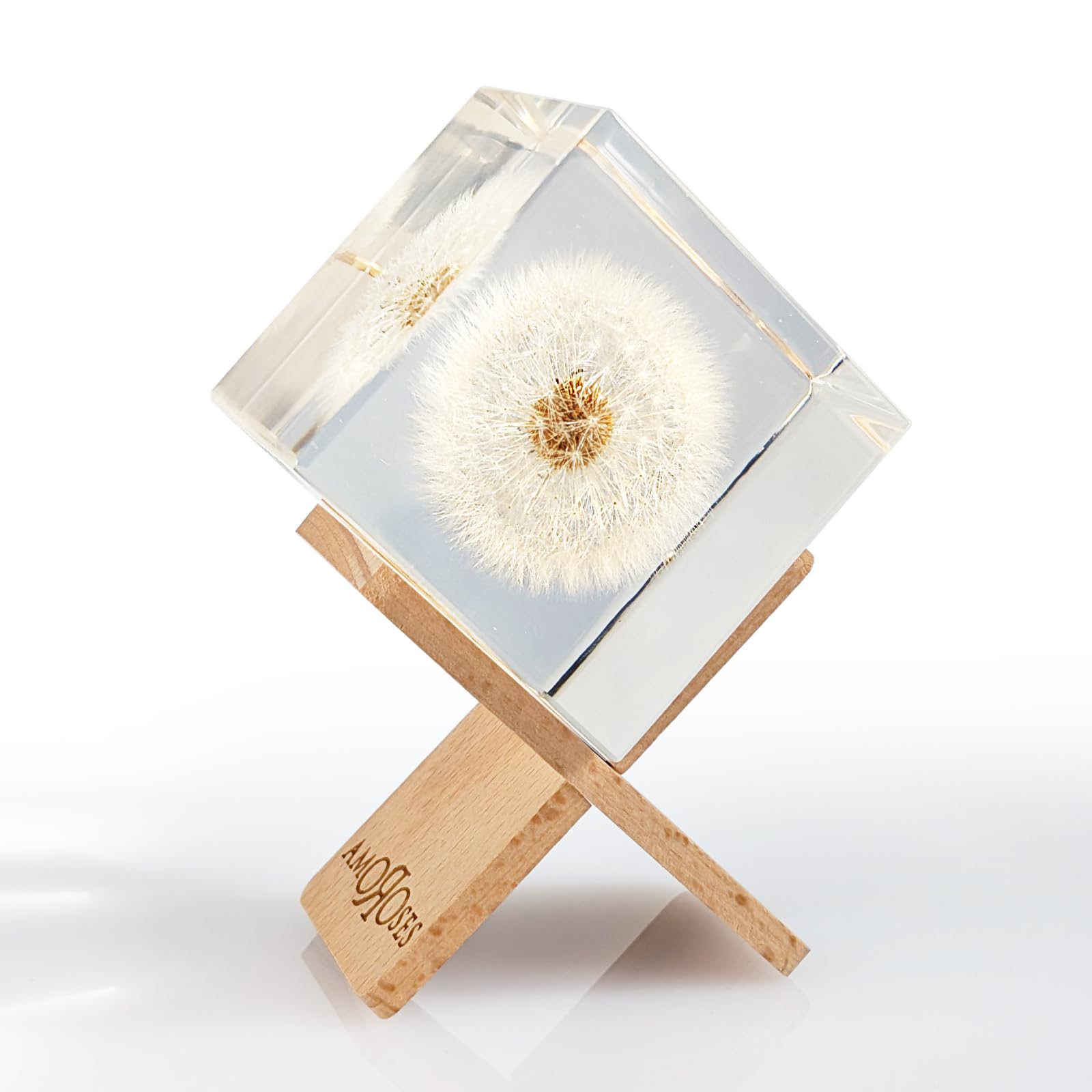Amoroses WISH - Dente di Leone vero, conservato in cubo di resina trasparente - Fiore Soffione in confezione elegante - Idea Regalo Originale, oggetto decorativo - Esprimi un desiderio