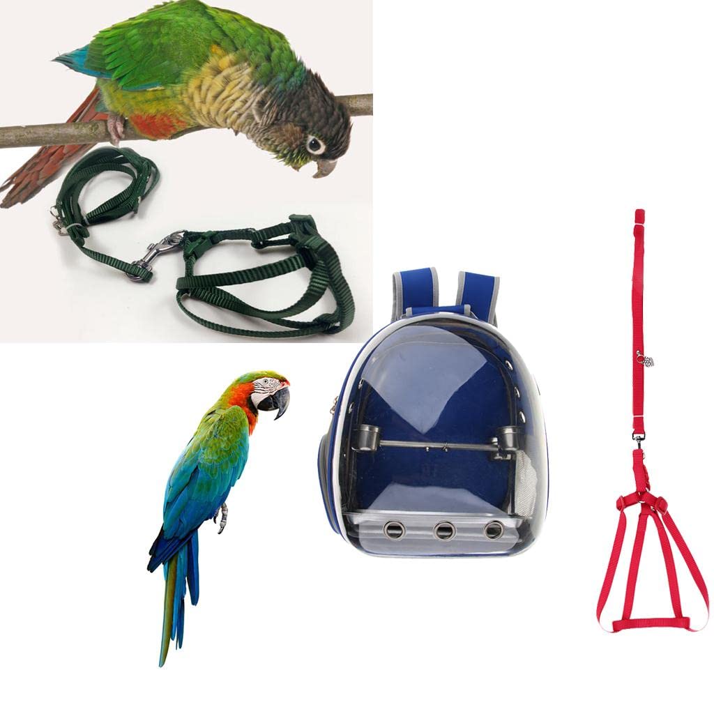 Jaula de viaje para pájaros y loros con correa de arnés para reptiles