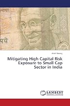 Mitigating High Capital Risk Exposure to Small Cap Sector in India