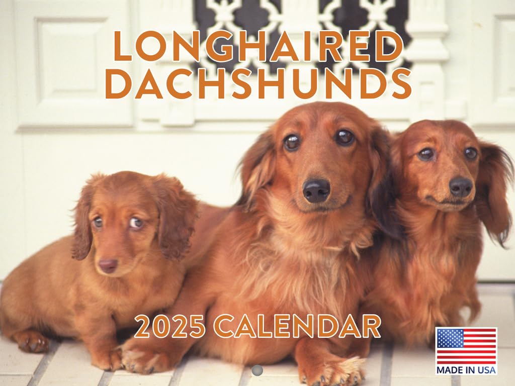 Longhaired Dachshund Dog Calendar 2025 Monthly Wall Calender 12 Month — image 1