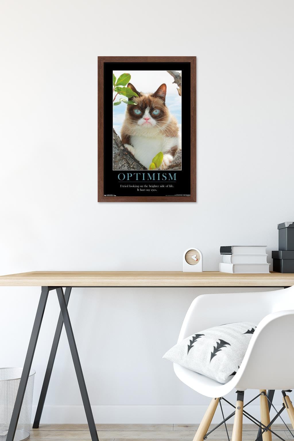 Amazon.com: Trends International Grumpy Cat - The Brighter Side