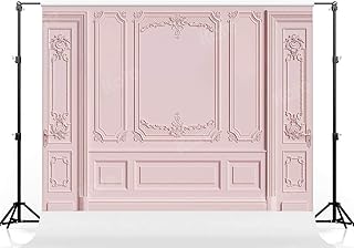 Kate 10Ã—10ft Light Pink Empty Room Photo Backdrop Classic Interior Wedding Photography Background Photo Studio Props for Photographers