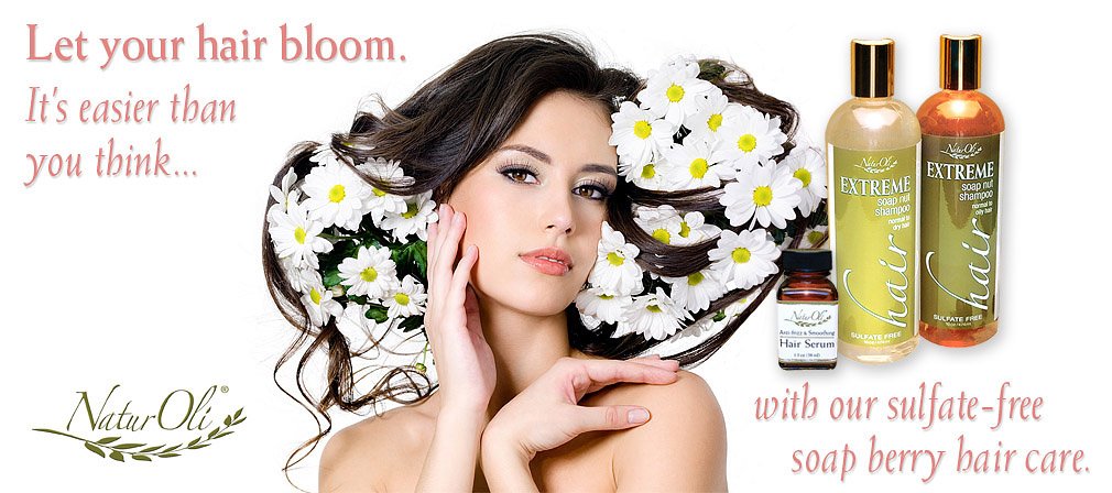 NaturOli Soap Berry Shampoo - Normal to Dry 16oz - All Natural Hair Care Sulfate Free - Made with Soap Berries - Gluten Free - Vegan
