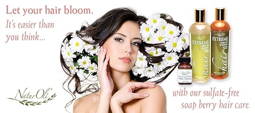 Miniatura 3 de Champú NaturOil Soap NutSoapberry para cabello normal a seco, 16 onzas Cuidado natural para el cabello sin sulfatos! Extreme Hair está fabricado con