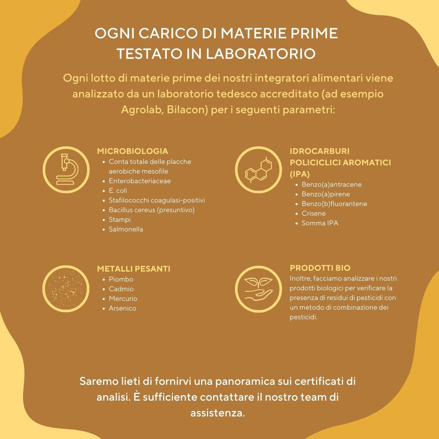 Spermidina ad alto dosaggio - 4 mg per 90 giorni - spermidina integratore Capsule - 10:1 Estratto di Germe di Grano (Triticum sativum) - Testato in laboratorio e prodotto in DE - TRUE NATURE®