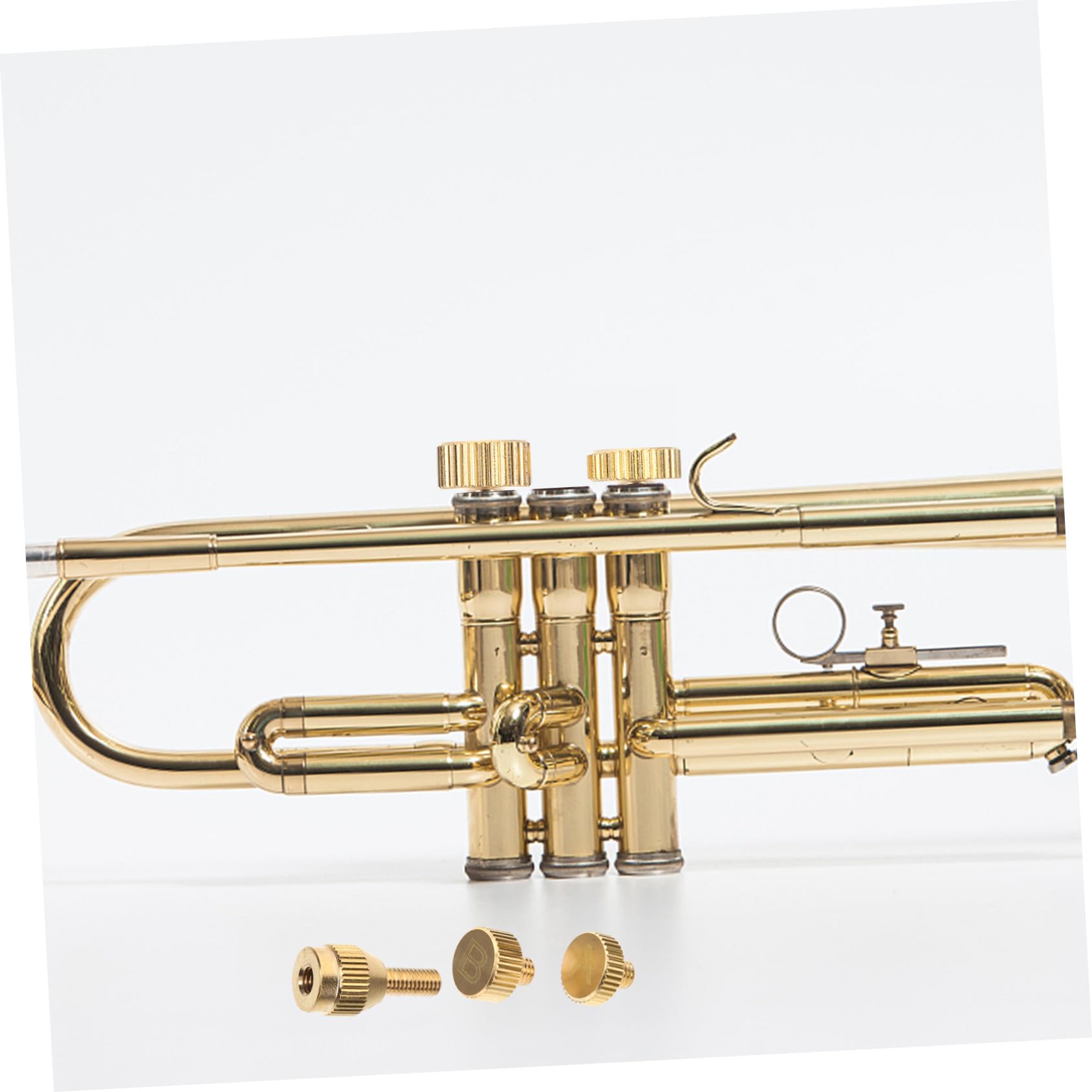 HEMOTON 5 Set Vite Di Ricambio Per Il Collo Del Sax Vite Professionale Per Il Collo Del Sassofono Sostituzione Della Del Sax Accessorio Per Strumenti Musicali Metallo Golden