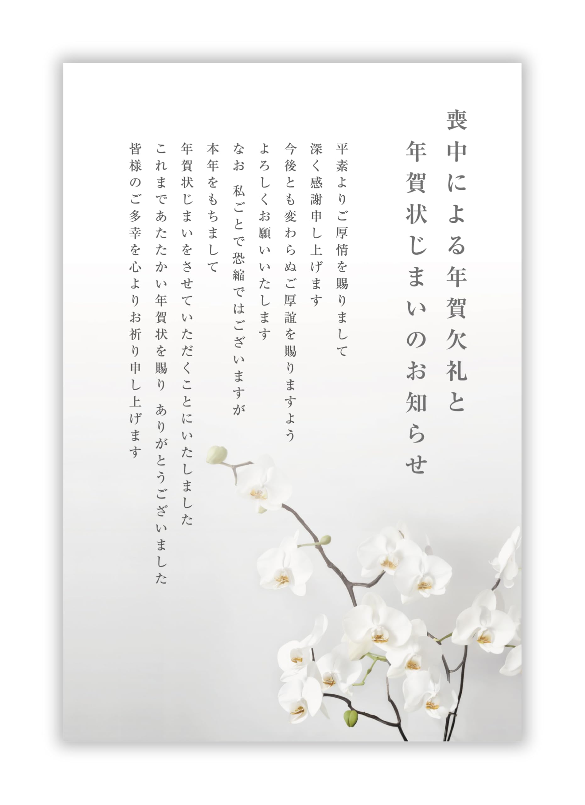 ⭐️ 喪中はがき 年賀状じまい 私製 20枚入り 詳細記入不要 胡蝶蘭 Amazon | 喪中はがき 20枚【年賀状じまい文/詳細記入不要】私製はがき