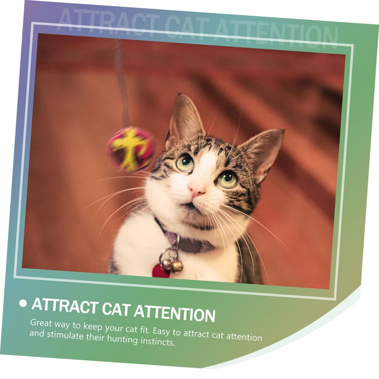 Yardwe 25pièces De Chat Colorées avec Clochettes Jouets Résistants pour Et Stimule Et Instinct Naturel Style Mélangé