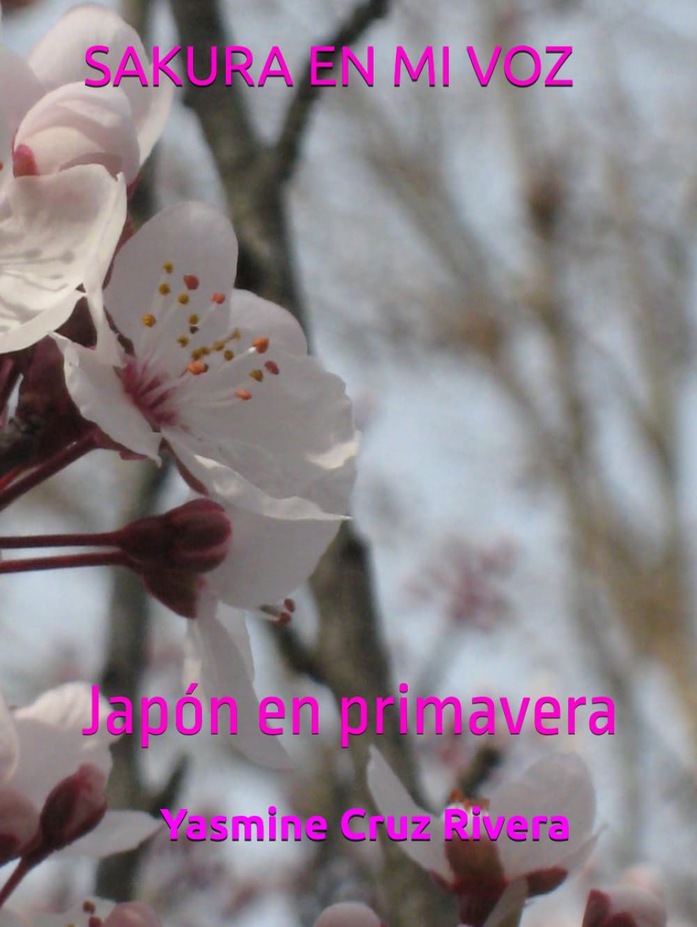 SAKURA EN MI VOZ: Japón en primavera