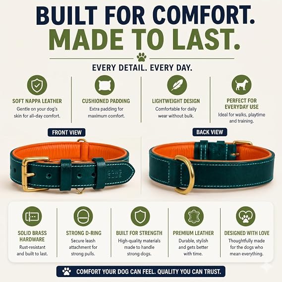 DowgClub Genuine Leather Dog Collar, Green, Medium, Soft Leather Padding