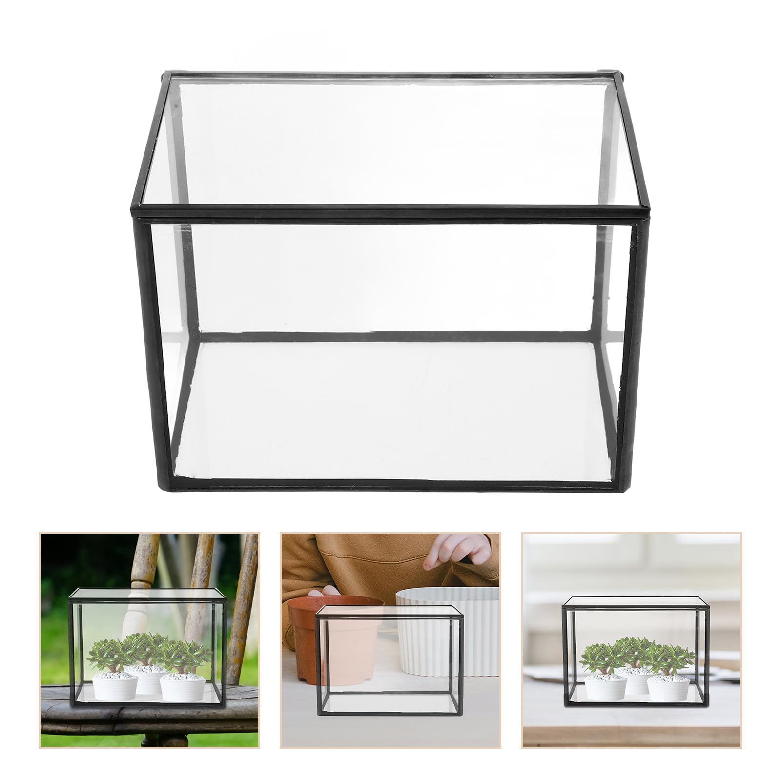 Terrario de Plantas Suculentas de Vidrio Transparente para Decoración, Recipiente Pequeño y Creativo para Jardín o Regalo, Estilo Natural y Artístico