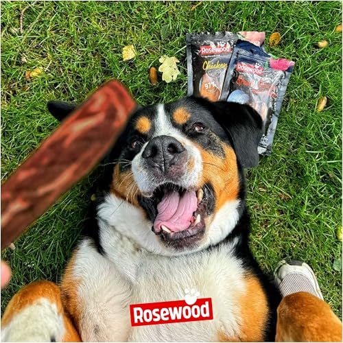Rosewood Steak Strips Ente & Seelachs – Weiche Leckerlis für Hunde, hoher Fleisch-/Fischanteil, fettarm, ohne Getreide, ohne künstliche Zusatzstoffe, 100 g