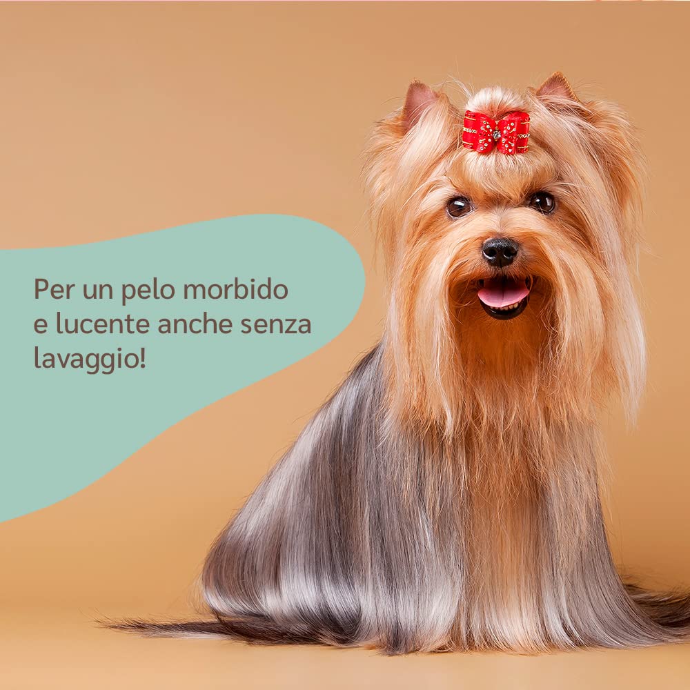 amusi Balsamo Cani Pelo Lungo Spray Sciogli Nodi Pelo Cane 250ml - Made in Italy, Formula Ipollergenica, Lucida, Condiziona, Nutre, Effetto Antistatico, Balsamo per Cani Spray, Districante Pelo Cane