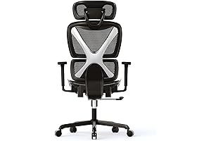 Gabrylly Ergonomic Office Chair with Lumbar Support