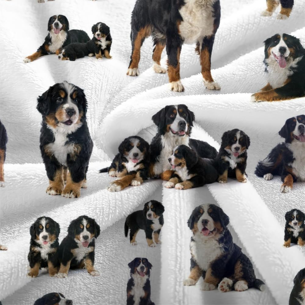 Douce Flanelle Couverture Polaire 3D Chien Montagne Bernois Microfibre Fluffy Couverture de literie 2 Personne Chien Compagnie Enfant Adultes Fille Garcon Sherpa Couverture de canapé 150x200cm