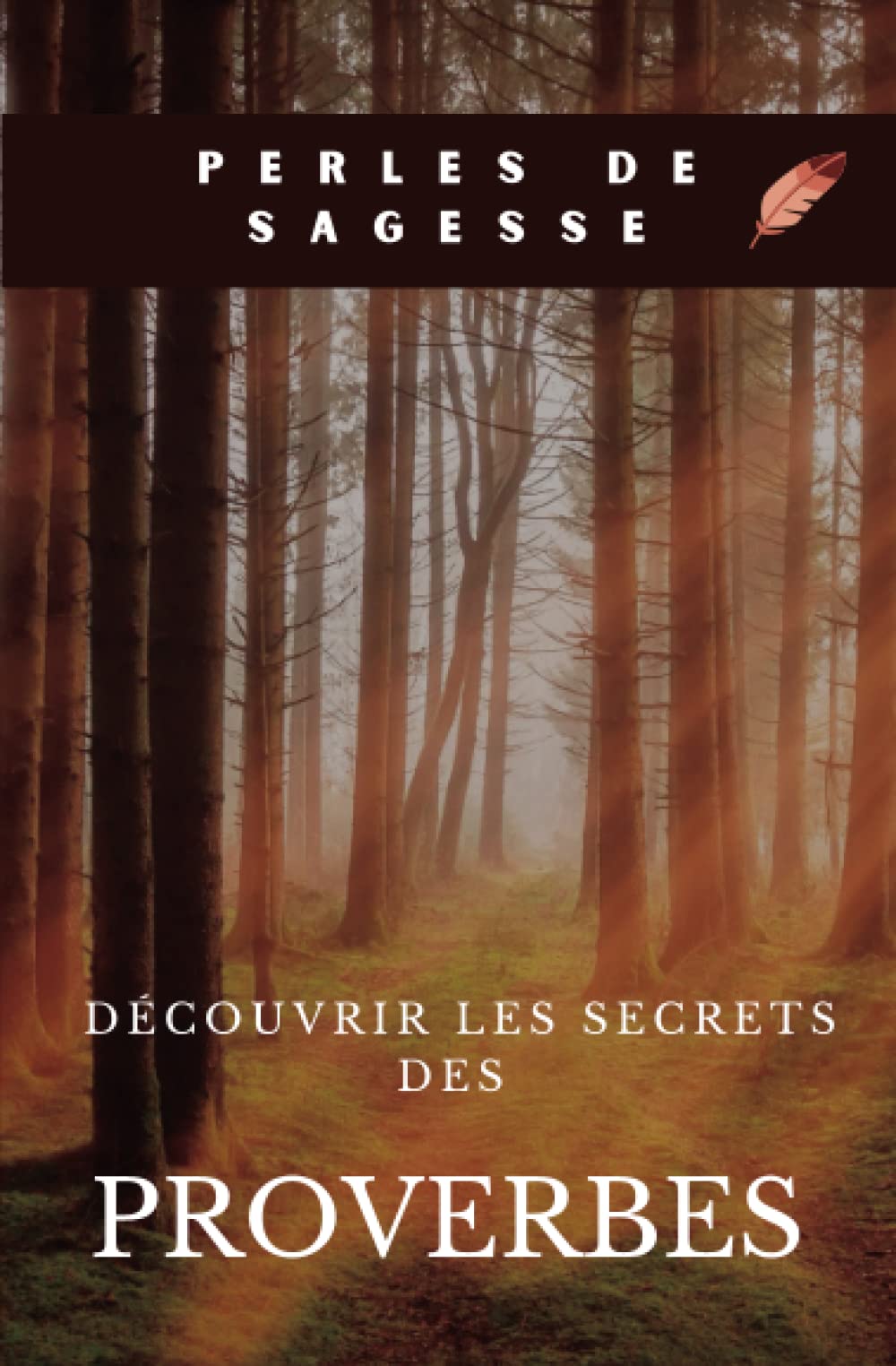 Perles de Sagesse : Découvrir les Secrets des Proverbes: Perles de Sagesse : Découvrir les Secrets des Proverbes - Comprendre et appliquer la puissance des proverbes dans la vie quotidienne