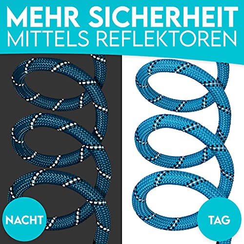 HUND IST KÖNIG Hundeleine - 1,5m Hunde Leine für Gassigehen & Training - Führleine mit weichem Griff & Reflektoren - ideale Alltagsleine für alle Rassen - leicht & robust, inkl. eBook