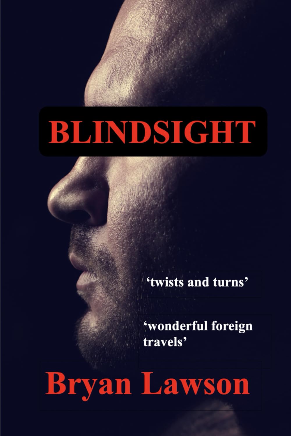Blindsight (Drake and Hepple mysteries)