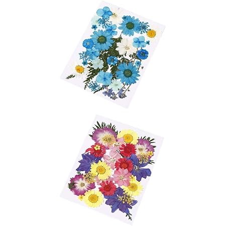 Amazon Co Jp カーネーションの押し花しおり アカ 1 ツートン1 ２枚セット ゆうぱっく発送お急ぎ便 ホーム キッチン