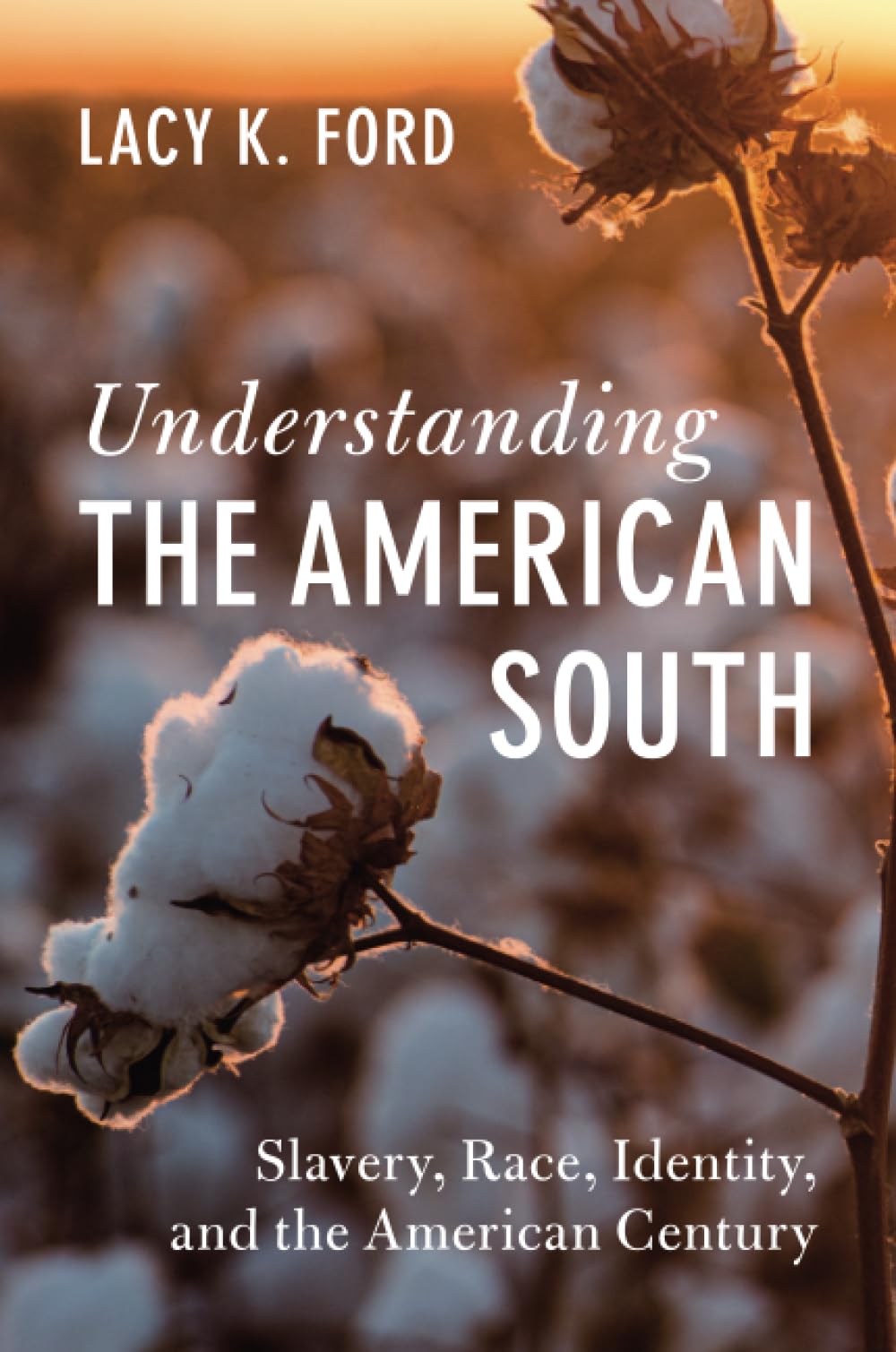 Understanding the American South Ford Paperback Cambridge University Press