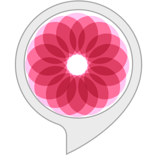 Better You Alexa Skills