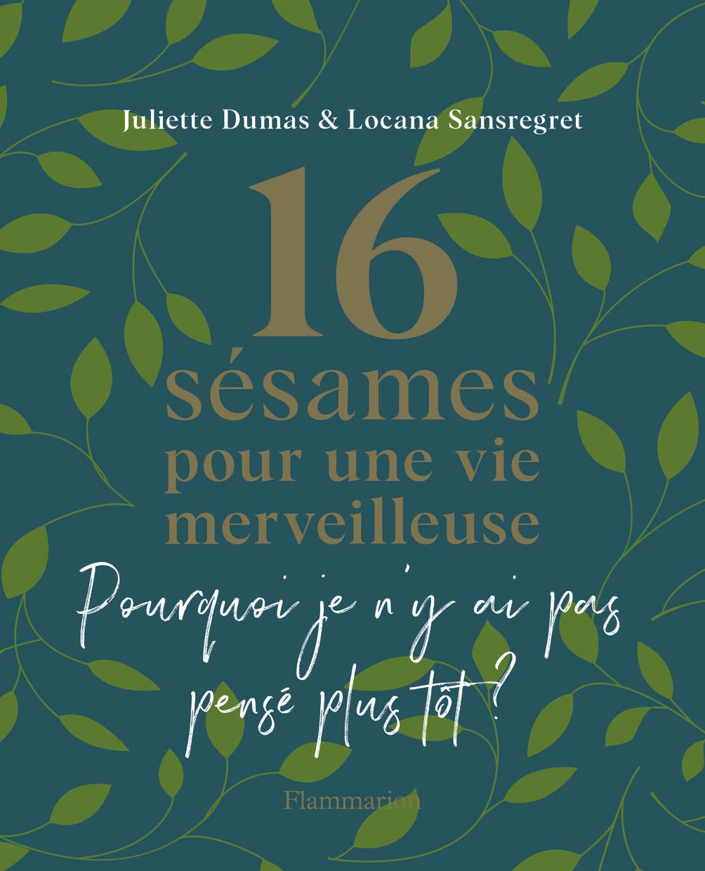 16 sésames pour une vie merveilleuse: Pourquoi je n'y ai pas pensé plus tôt ?