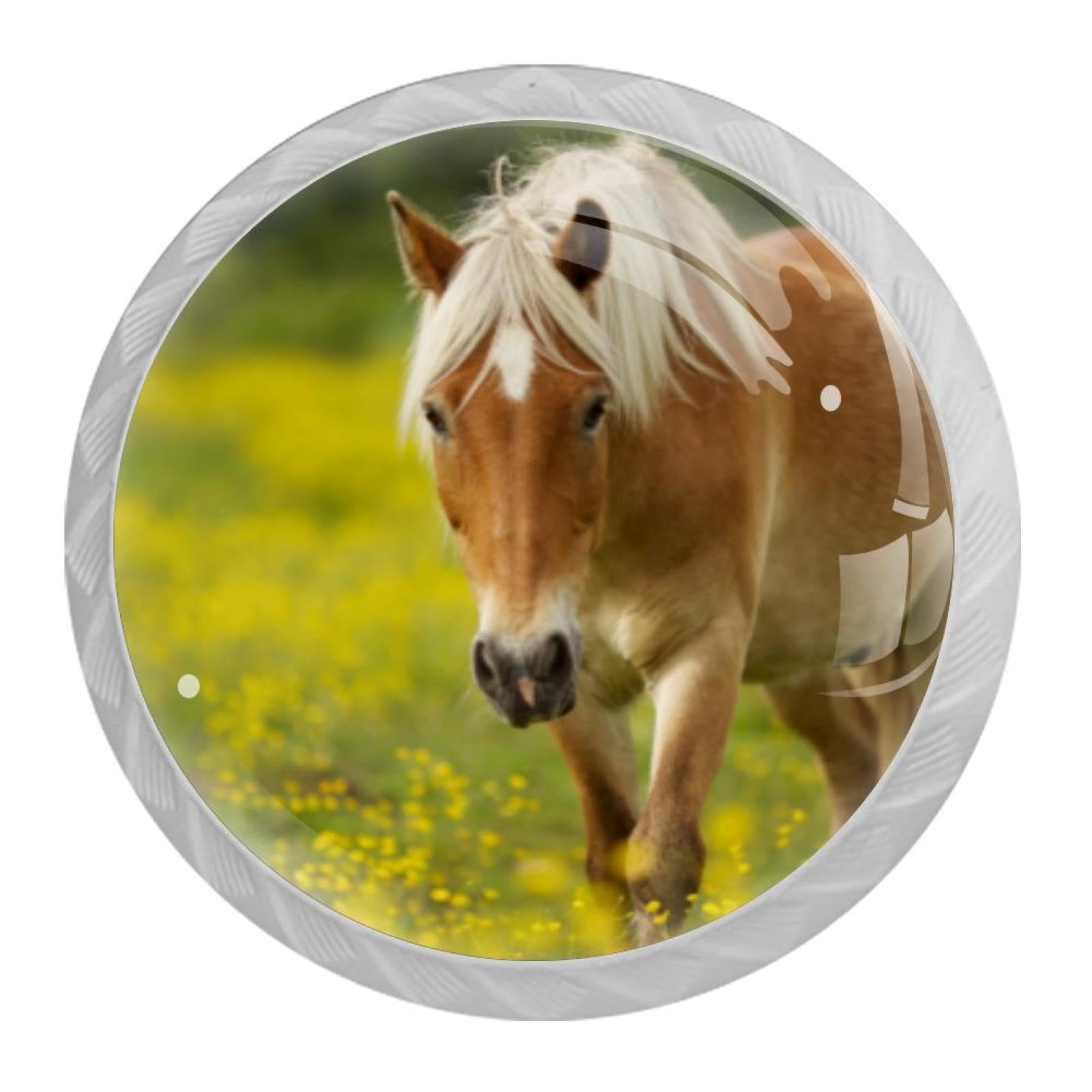 Tqmspg Horse