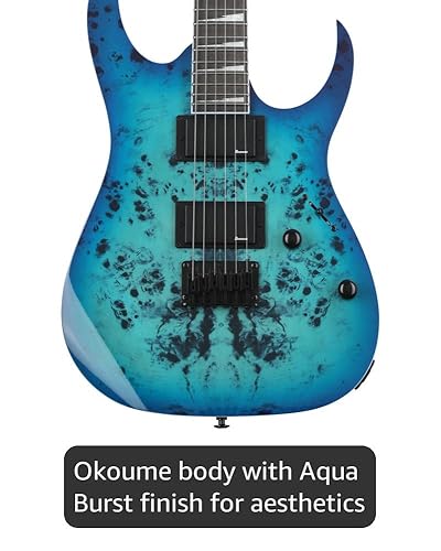 Amazon.com: Ibanez GIO GRGR221PA Electric Guitar - Aqua Burst