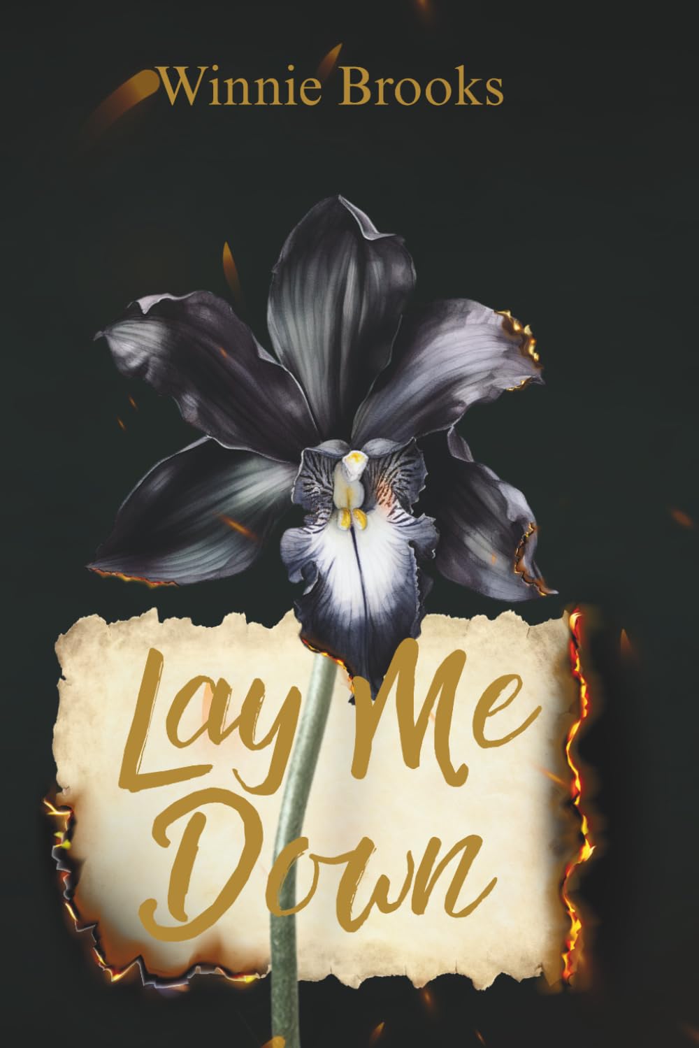 Lay Me Down: Book 3 of the Descent to Darkness Series