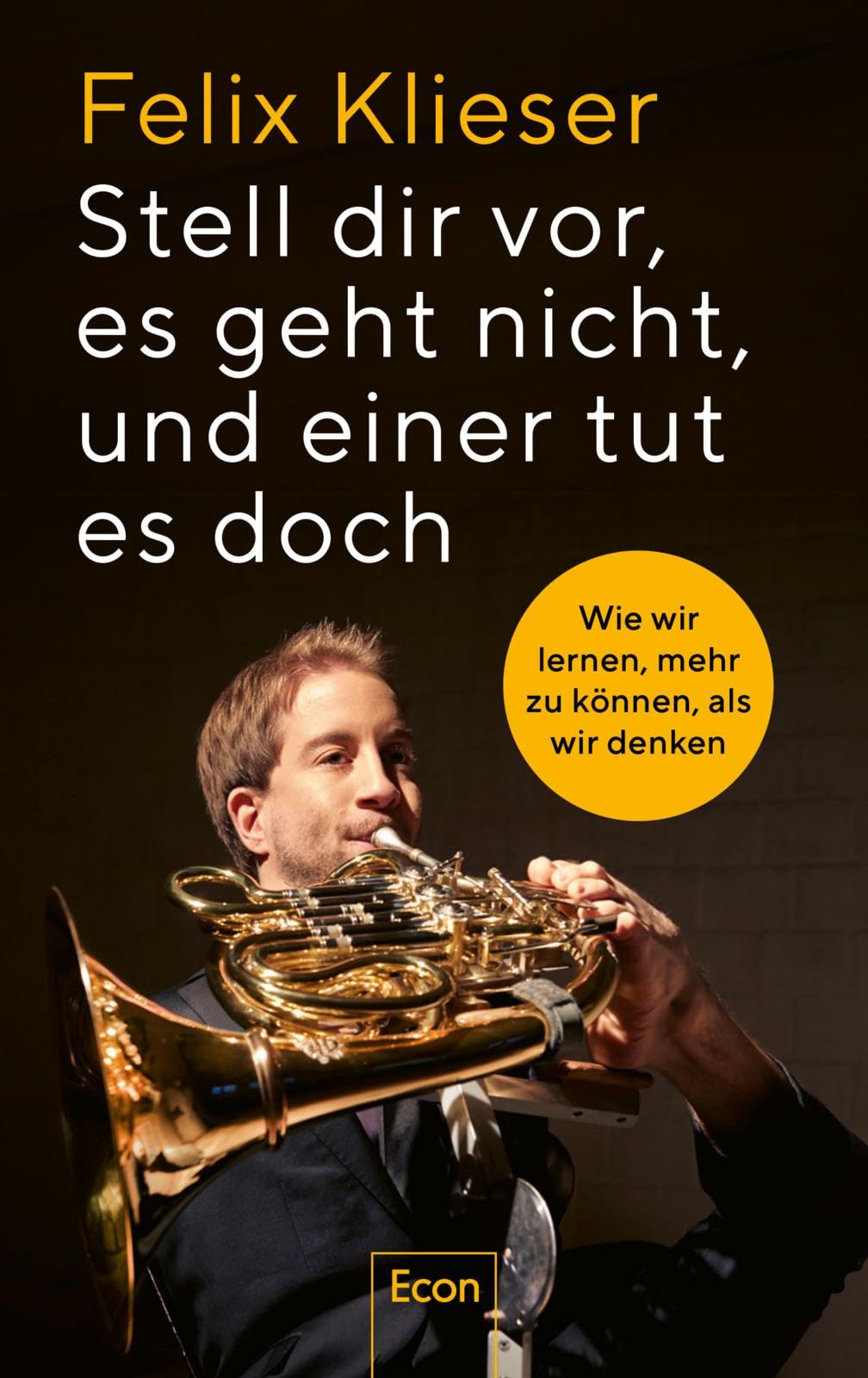 Stell dir vor, es geht nicht, und einer tut es doch: Wie wir lernen, mehr zu können, als wir denken | Was passiert, wenn Probleme lösen Freude bereitet