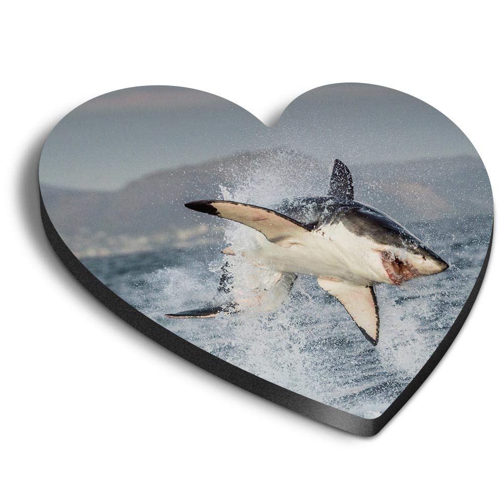 1 x Heart MDF Magnets - Great White Shark Hunting Breach 21644