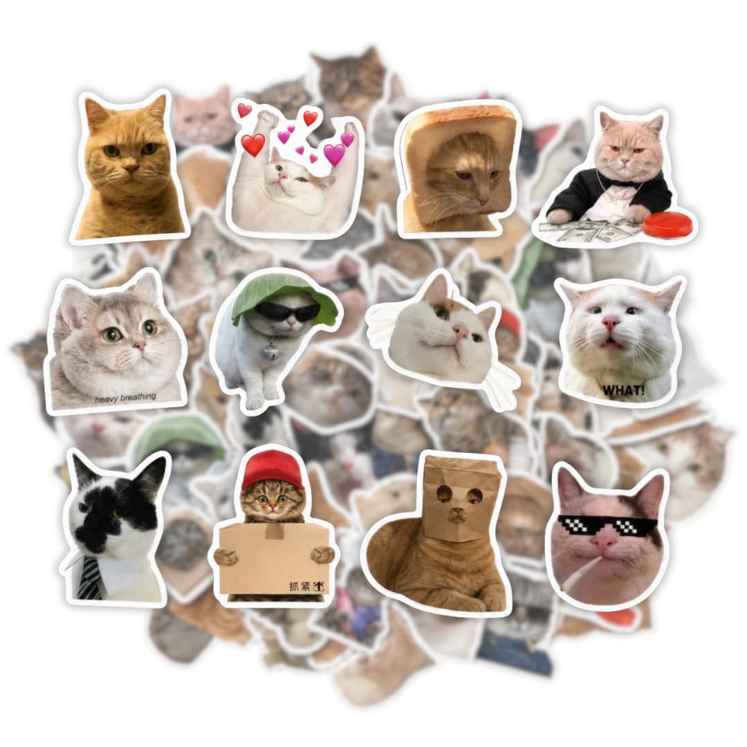 Mazo Moon 50 x Funny Cat Stickers – Waterproof Vinyl Meme Stickers for Laptops, Water Bottles, Journaling, Scrapbooking, Skateboards & Cute Cat Lover Gifts