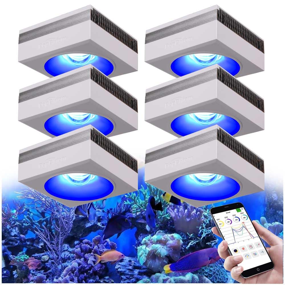 6PCS PopBloom-RL90 WiFi luz Led para acuario marino, pantalla led acuario coral, reef iluminacion acuario para sps/lps pecera acuario