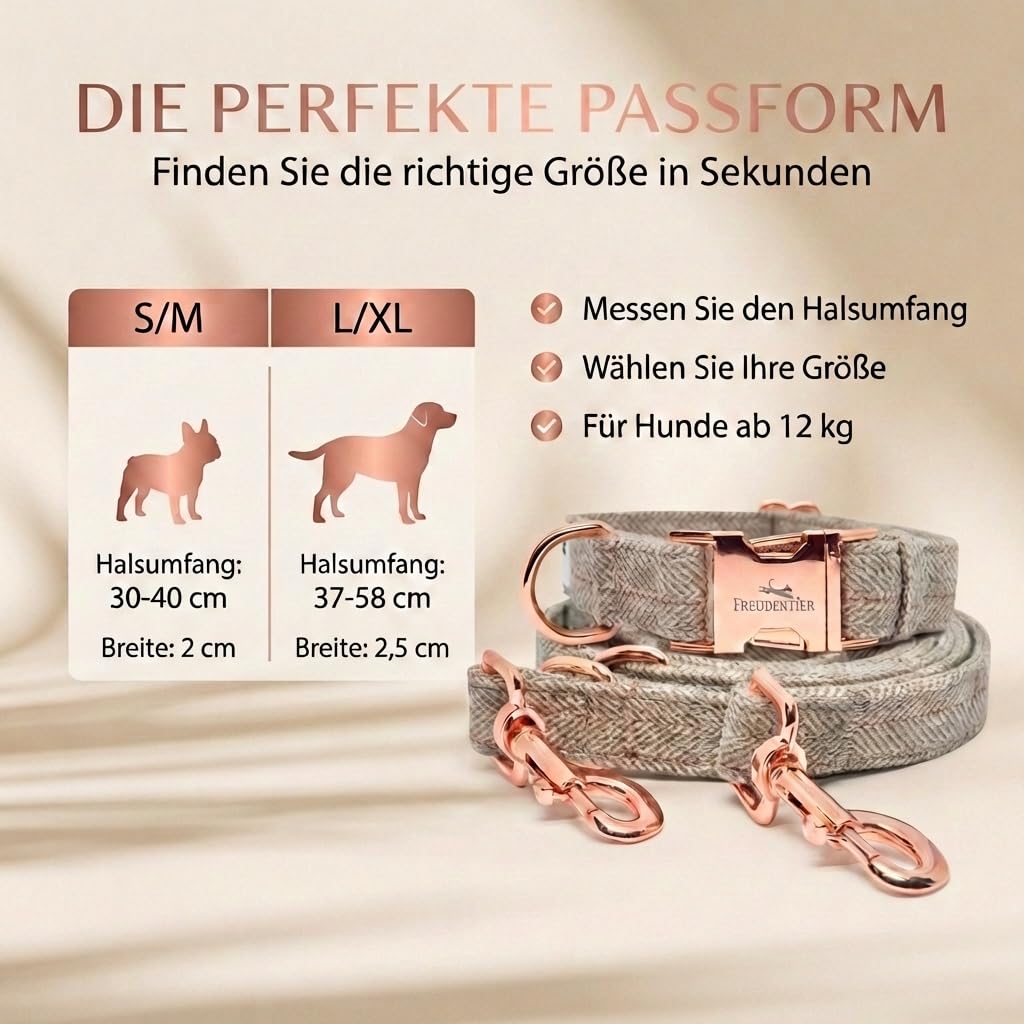 FREUDENTIER Hundehalsband und Hundeleine 2m im eleganten Set - Hundeleine verstellbar - Inkl. Geschenkbox - Für kleine, mittelgroße & große Hunde - Classic Kollektion, Das Original (37-58cm)