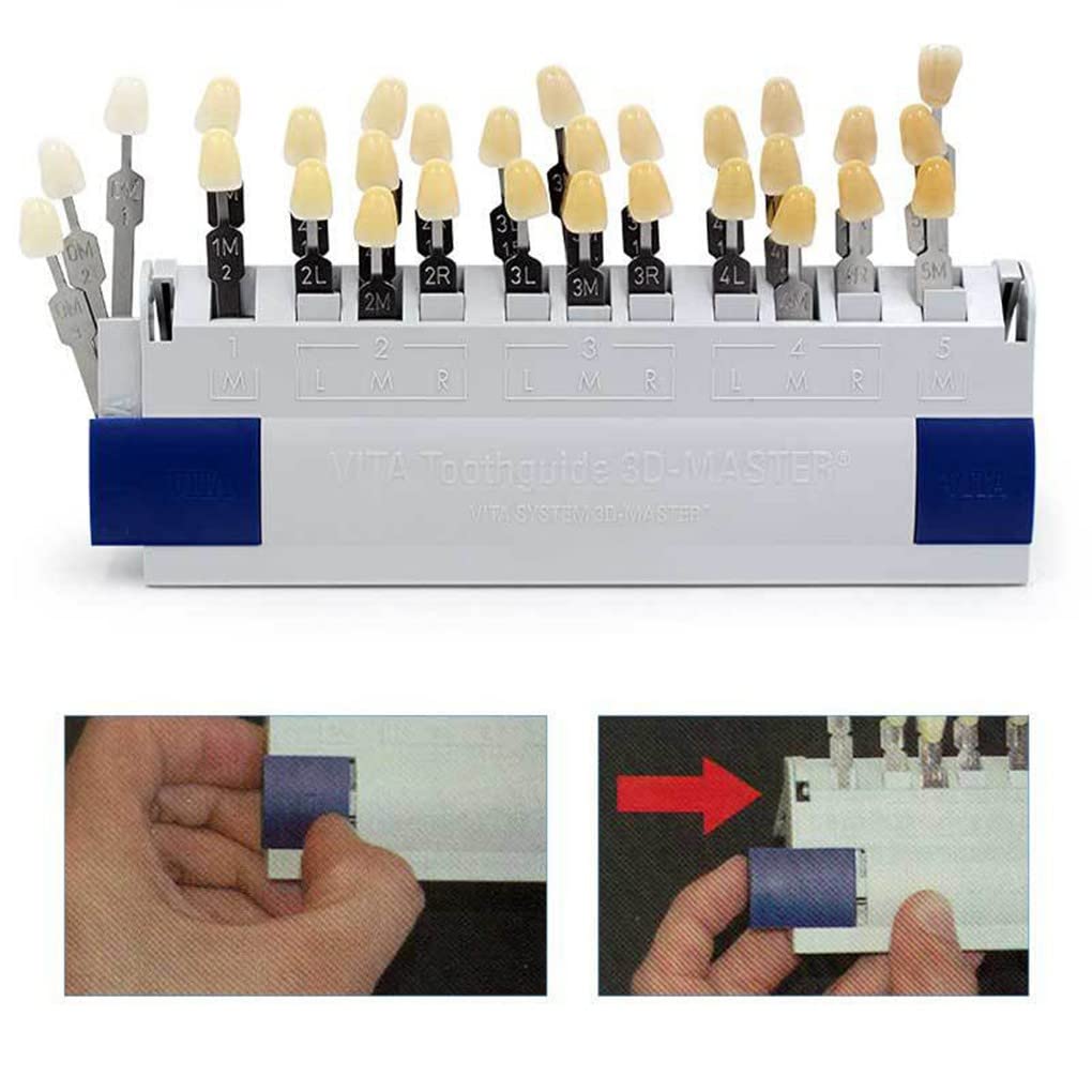 Dental Lab Denti Guida Protesi 3D Master 29 Colori Sfumature Guida denti Laboratorio odontotecnico Attrezzatura orale