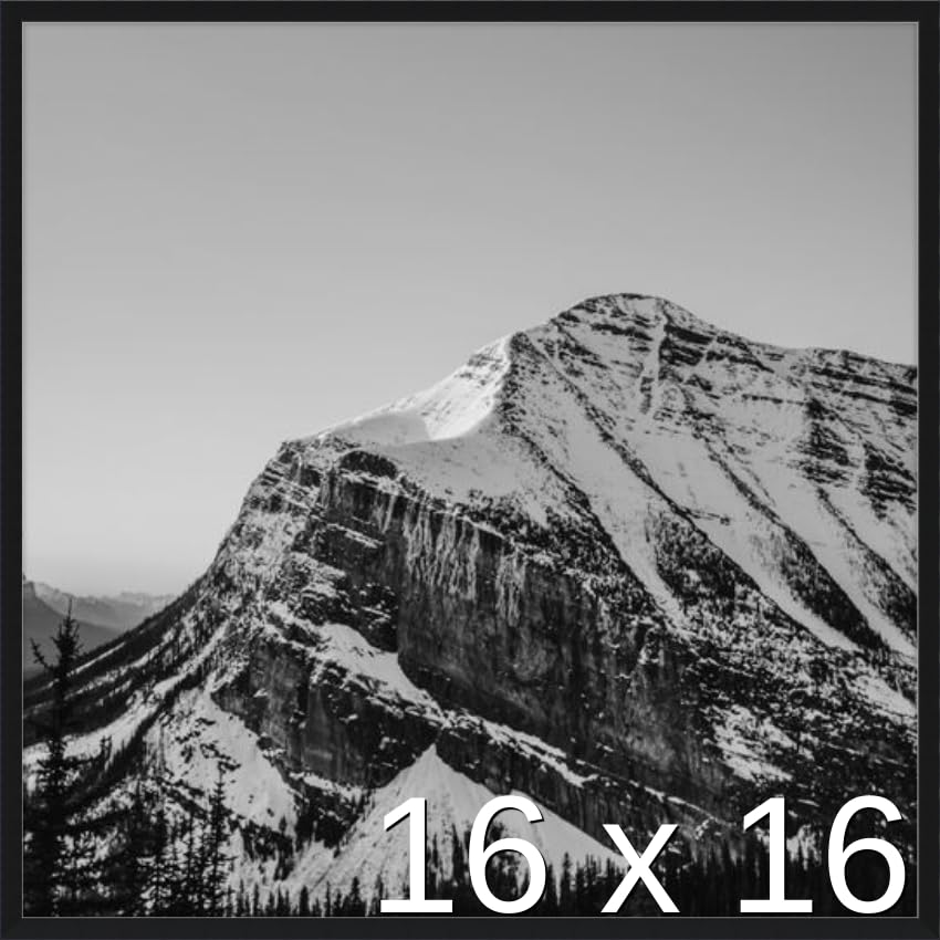 Frame It Easy 16 1/2 x 16 1/2 Satin Black Metal Frame (Ashford) 16.5x16.5 inches