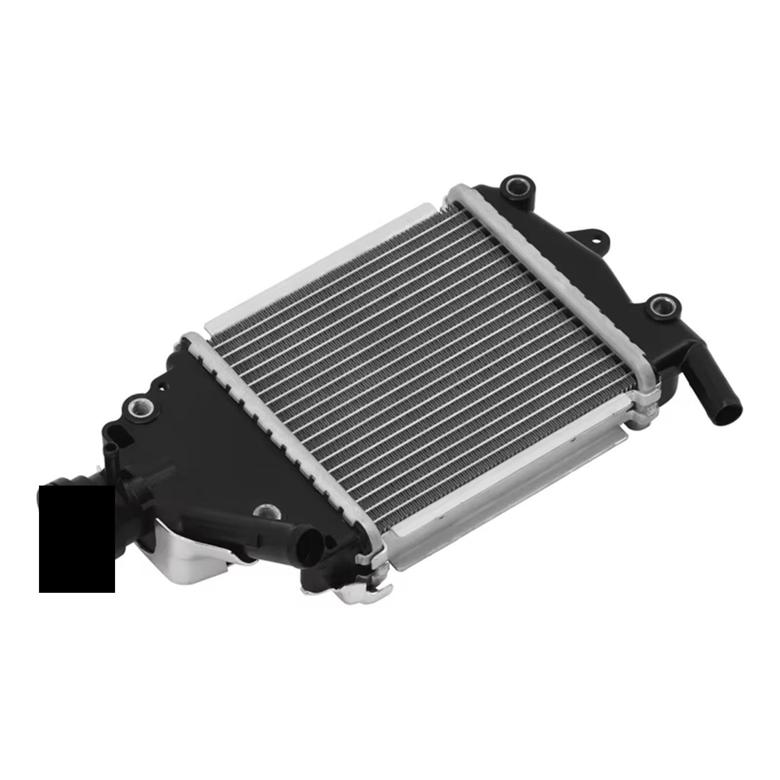 Serbatoio Espansione Liquido Raffreddamento Moto Per PCX150 2018-2020