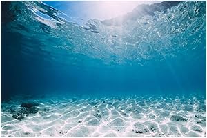 AWERT Aquarium Background - Majestic Underwater Panorama for Your Fish Tank