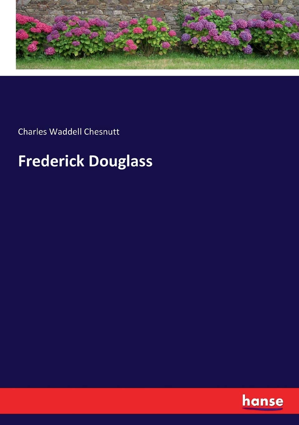 Frederick Douglass view 3