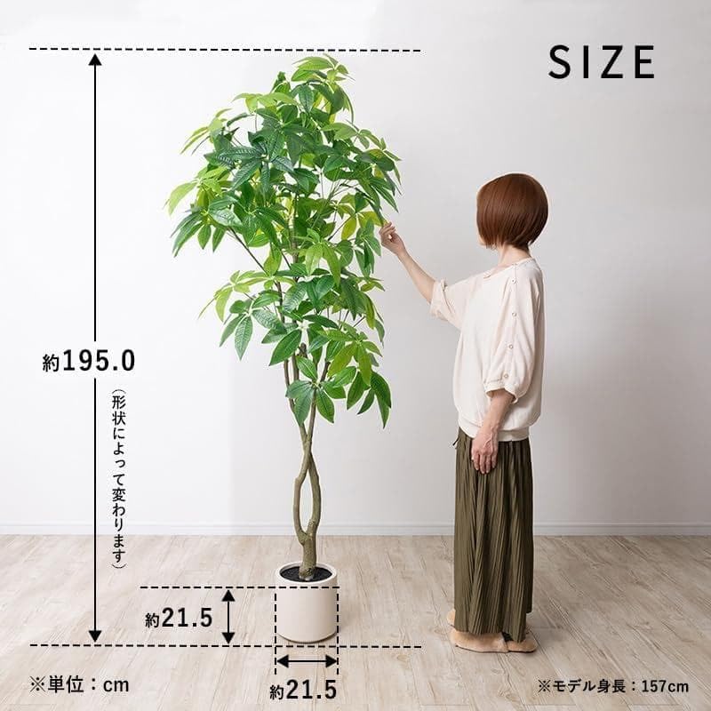 新品 三栄コーポレーション 光触媒 パキラ フェイクグリーン 約195cm Amazon.co.jp: 光触媒 パキラ フェイクグリーン 約195cm : ホビー