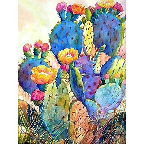 Paint by Number Kits - Colorful Cactus 16x20 Inch Linen Canvas Paintworks - Digital Oil Painting Canvas Kits for Adults Children Kids Decorations Gifts (No Frame) Paint by Number Kits - Colorful Cactus 16x20 Inch Linen Canvas Paintworks - Digital Oil Painting Canvas Kits for Adults Children Kids Decorations Gifts (No Frame)