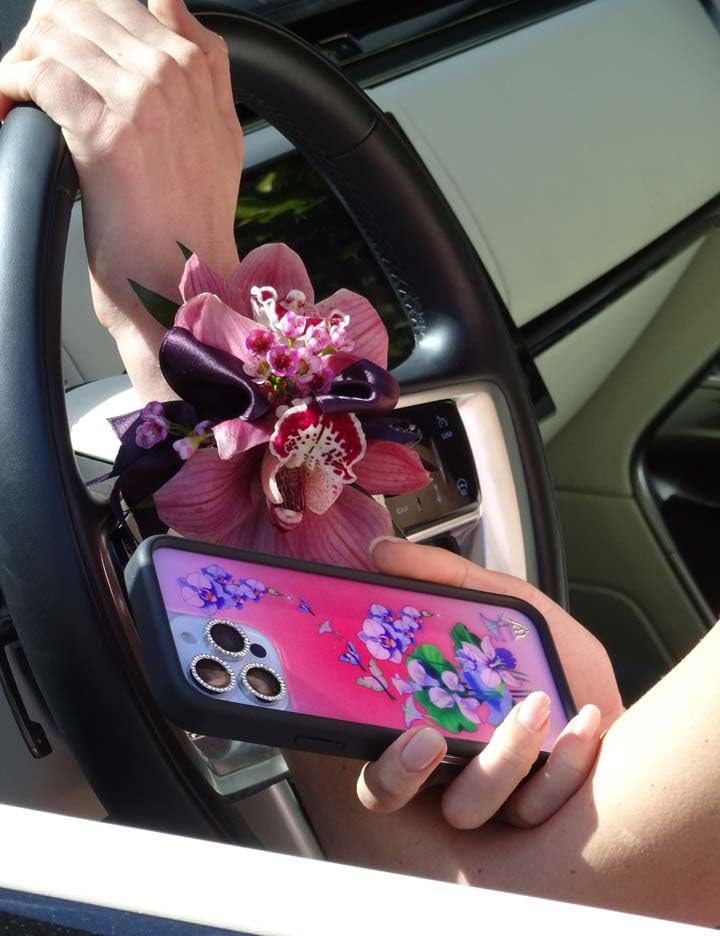 Image of Wildflower Cases - Compatible with iPhone 16 Pro Max | Protective Black Bumper, 6.5ft Drop Test Certified, Women Owned Small Business | Butterfly Dreams