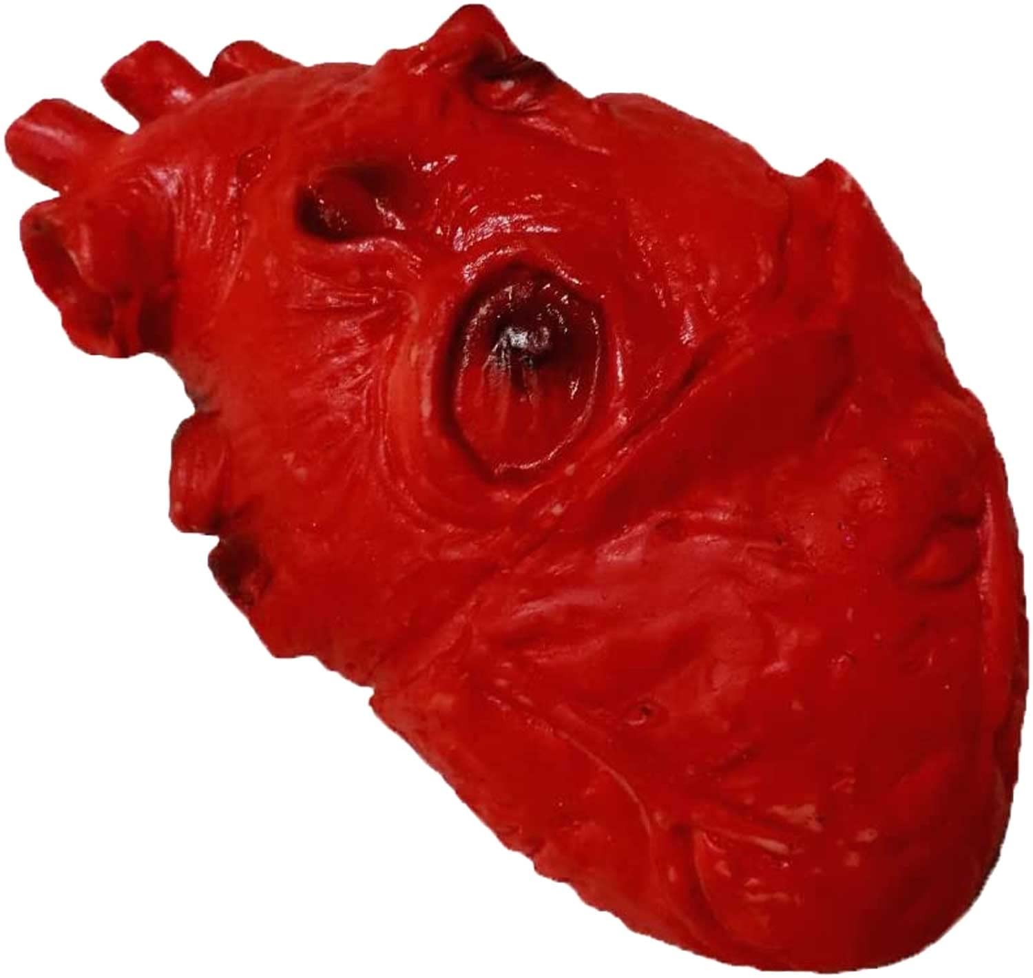 Hemobllo Simulación De Corazón Realista Para Halloween Corazón Humano Falso De Utilería Accesorio De Terror Para Disfraces Y Decoraciones De Eventos Espeluznantes