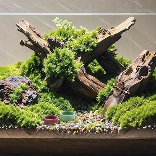 9 Pcs Tarantula Water Bowl Ceramic Mini Dish for Spider Tarantula Hermit Crab Terrarium Breeding Feeders (Colors May Vary)