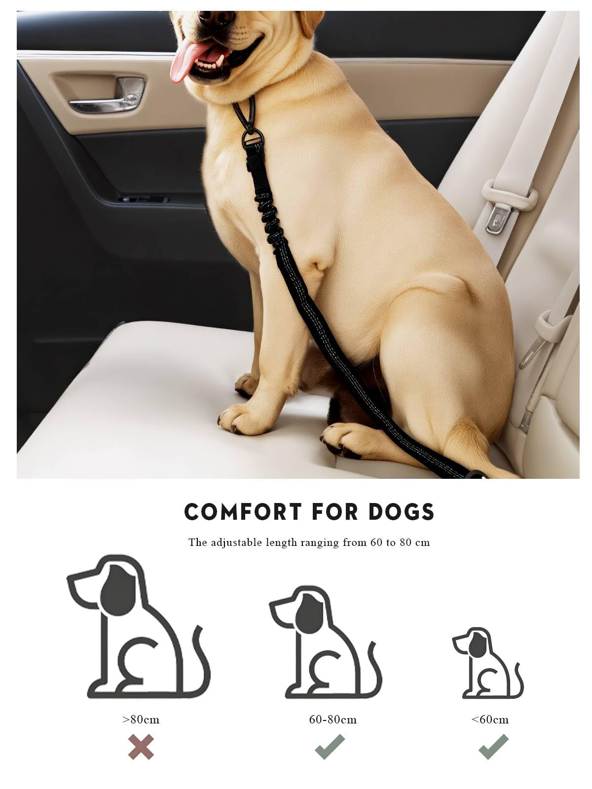 Ceinture securite Chien Voiture, Harnais Laisse Voiture Chien Attache avec Absorption des Chocs élastique et Mousqueton en métal pour Tous Les Chiens et Chats