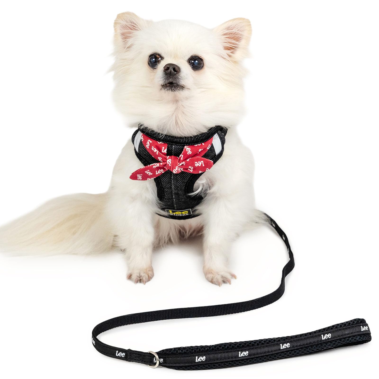 Amazon | ペットパラダイス 犬 ハーネス 犬具 Lee ループノット