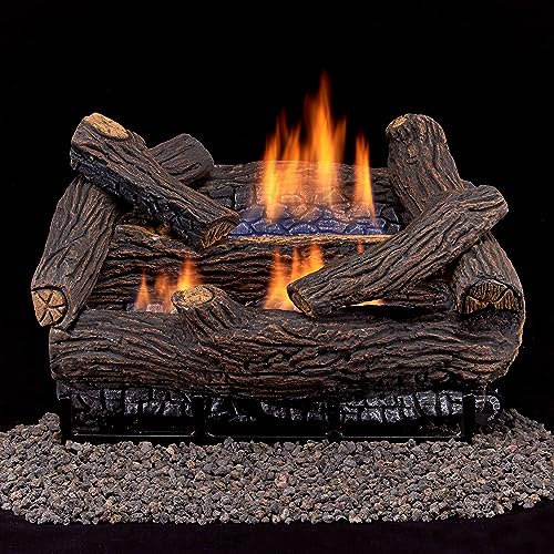 Duluth Forge DLS-18R-2 Dual Fuel Ventless Fireplace Logs Set with...